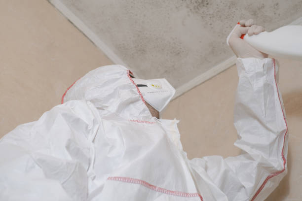 Reliable Avalon, CA Mold Remediation Solutions